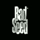 screen