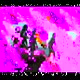 screen
